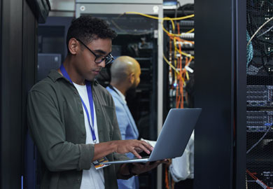 IT professional